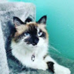 Meet your Posher, Jenna